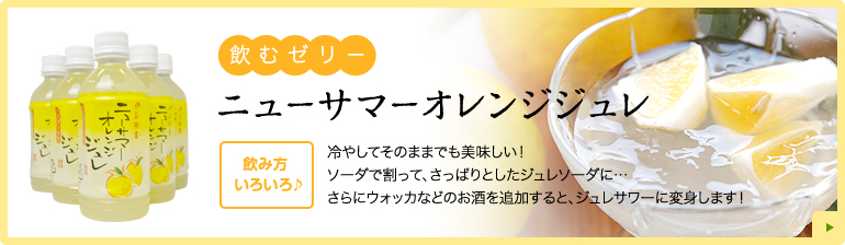 ニューサマーオレンジジュレ